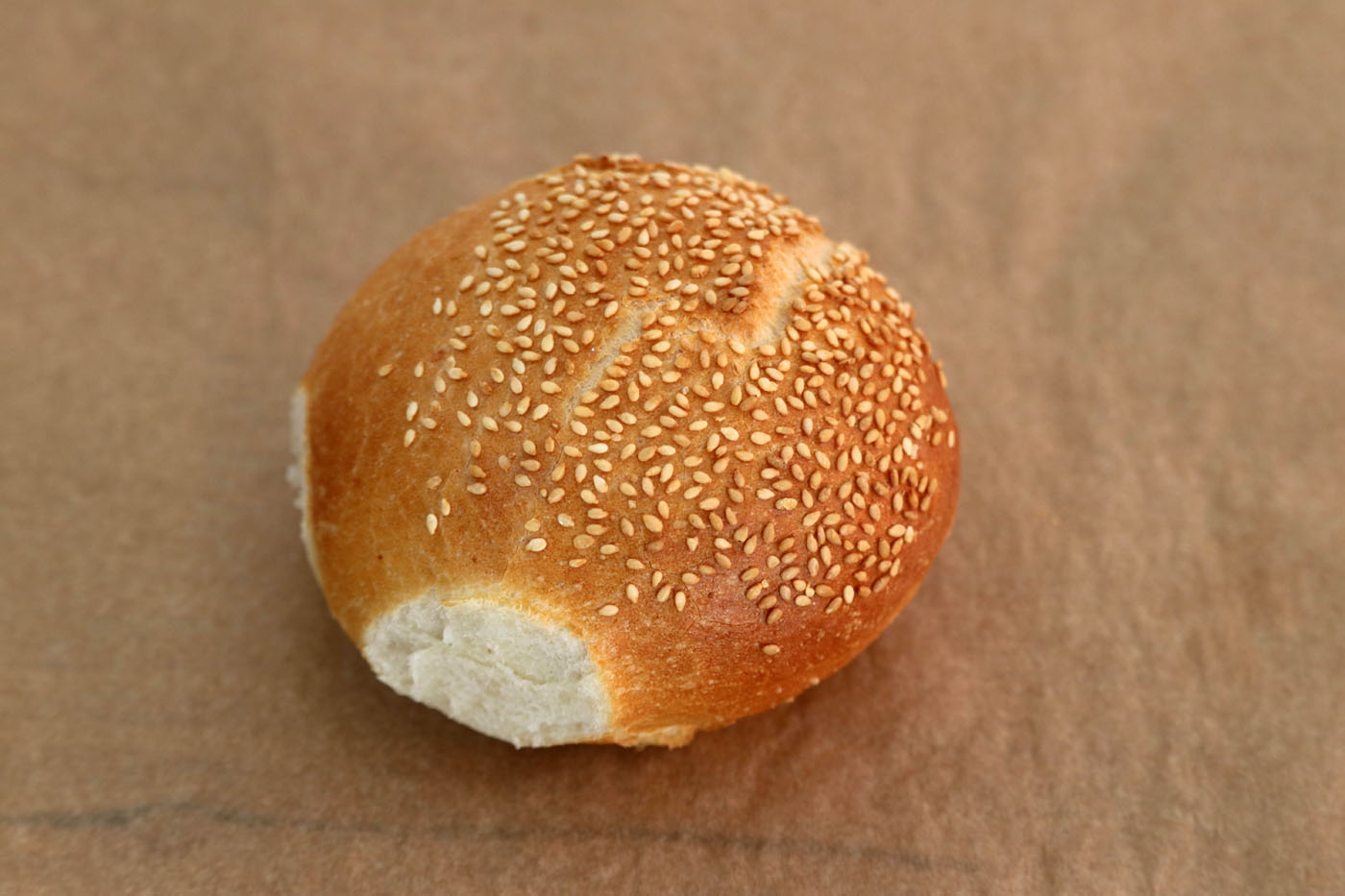 cifla-cu-susan-dolceiannis